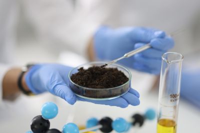 Understanding Water Testing Costs — Cost of Water Testing